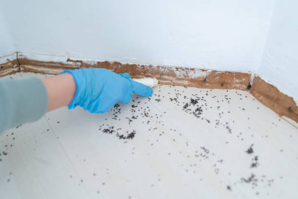 Best Bed Bug Extermination  in Cheyenne, WY